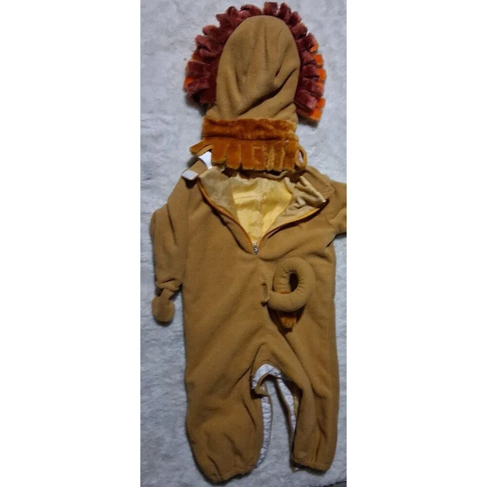 N/A lion costume